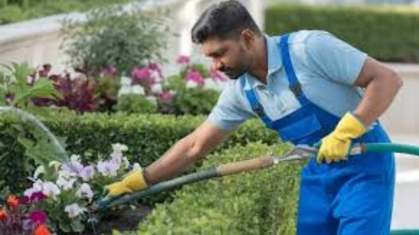 Gardening & Landscaping